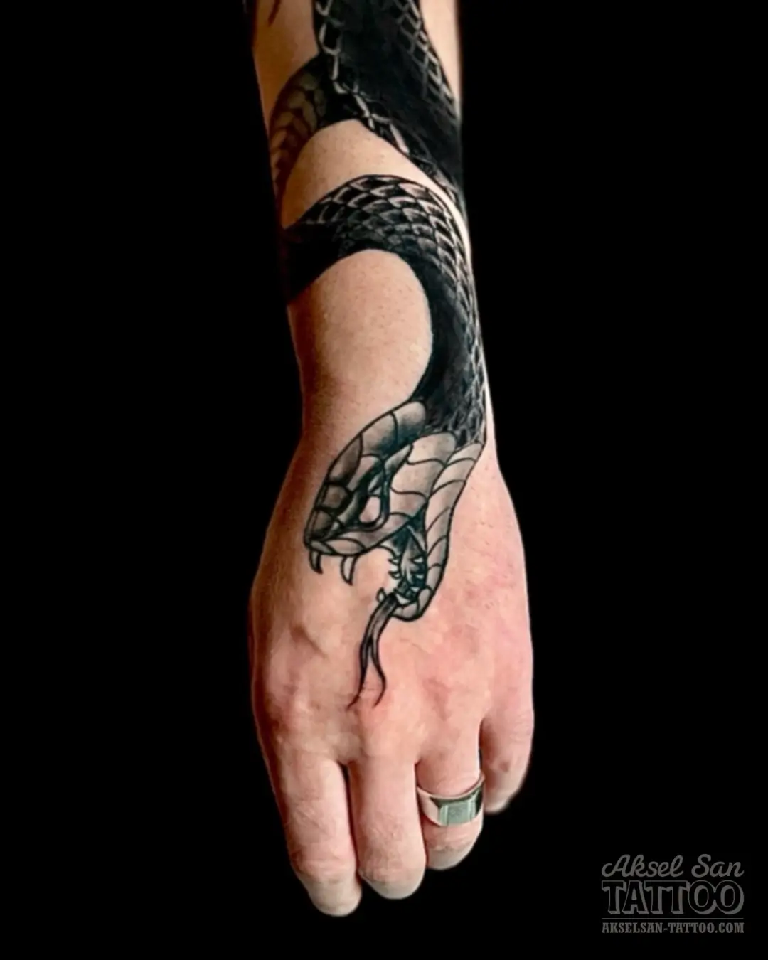 Tatouage noir et gris réalisé par Aksel San à Strasbourg — Serpent